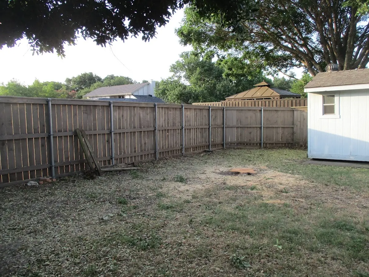 Cleared yard after professional tree removal in Batavia